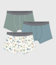 Load image into Gallery viewer, FW26 - A0FIQ 00 MULTI BOY NEW ARRIVAL SPRING SUMMER 2026 STRIPES UNDERWEAR