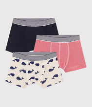 Load image into Gallery viewer, SS25 - A0DAH 00 MULTI ACCESSORIES BOXERS SAILOR SPRING SUMMER 2025 STRIPES
