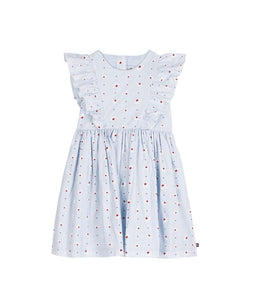 AW25 - A0EMB 01 BLUE MULTI DRESSES FALL WINTER 2025/26 FLORAL