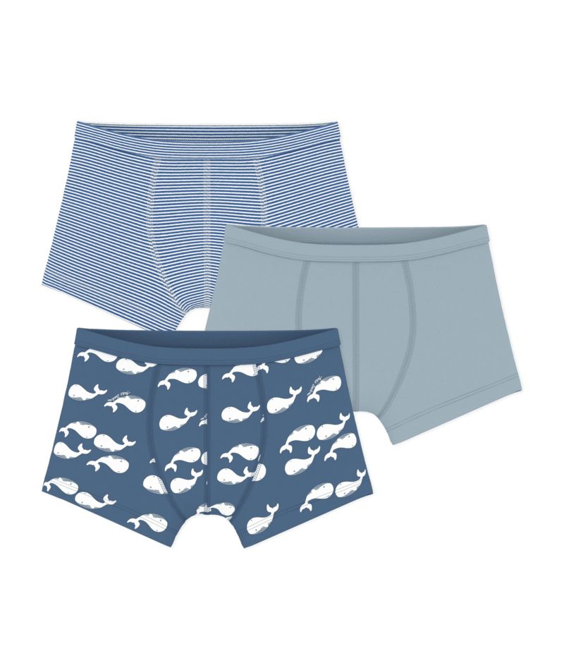 FW26 - A0H0P 00 BLUE MULTI BOY FALL WINTER 2026 NEW ARRIVAL STRIPES UNDERWEAR