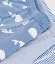 Load image into Gallery viewer, FW26 - A0H0P 00 BLUE MULTI BOY FALL WINTER 2026 NEW ARRIVAL STRIPES UNDERWEAR
