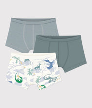Load image into Gallery viewer, FW26 - A0H0R 00 MULTI BOY FALL WINTER 2026 STRIPES UNDERWEAR
